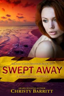 Swept Away: A Squeaky Clean Honeymoon Novella (Squeaky Clean Mysteries Book 12)