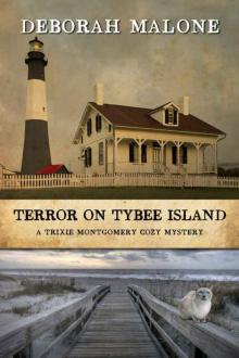 Terror on Tybee Island (A Trixie Montgomery Cozy Mystery Book 3)