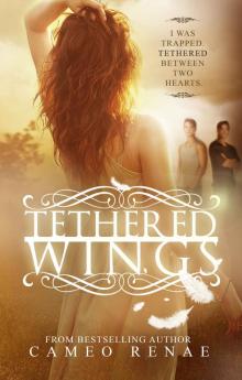 Tethered Wings (Hidden Wings Series)