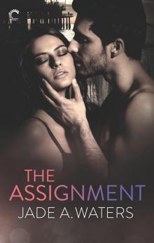 The Assignment