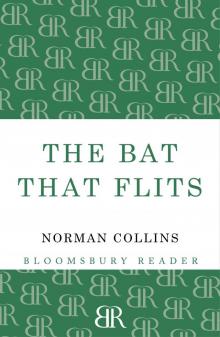 The Bat that Flits