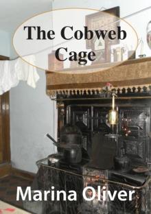 The Cobweb Cage