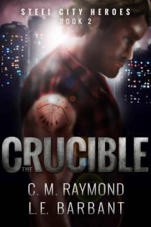 The Crucible (Steel City Heroes Book 2)