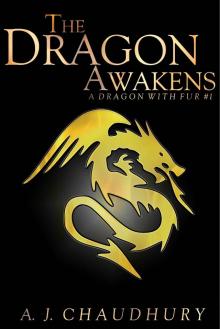 The Dragon Awakens (A Dragon With Fur Book 1)