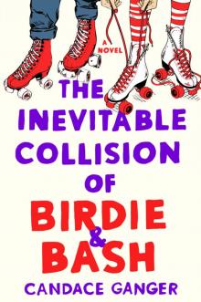 The Inevitable Collision of Birdie & Bash