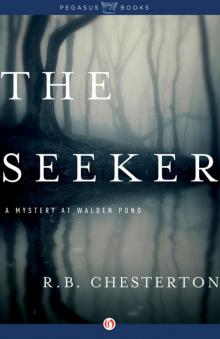 The Seeker A Novel (R. B. Chesterton)