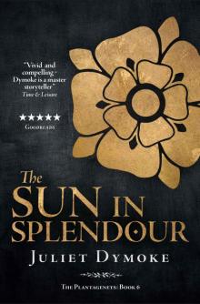 The Sun in Splendour (The Plantagenets Book 6)