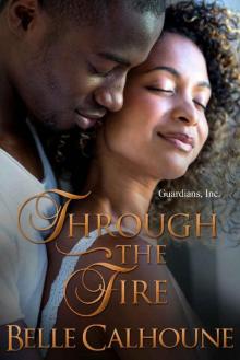 Through The Fire (Guardians, Inc. Book 2)