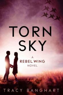 Torn Sky (Rebel Wing Trilogy, Book 3) (Rebel Wing Series)