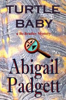 Turtle Baby (Bo Bradley Mysteries, Book Three)