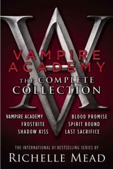 Vampire Academy: The Complete Collection: 1/6