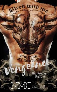 Vengeance: The Program Book 4