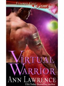 VirtualWarrior