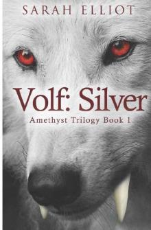 Volf: Silver (The Amethyst Trilogy Book 1)