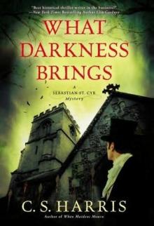 What Darkness Brings sscm-8