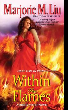 Within the Flames d&s-11