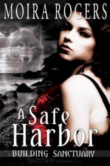 A Safe Harbor: Building Sanctuary, Book 1