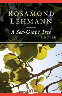 A Sea-Grape Tree