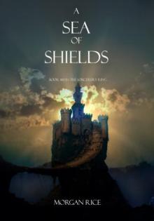 A Sea of Shields sr-10