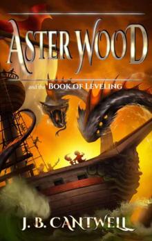 Aster Wood and the Book of Leveling (Volume 2)