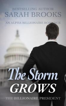 Billionaire Romance: The Storm GROWS: An Alpha Billionaire Romance (The Billionaire President Book 14)