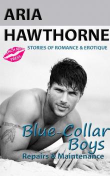 Blue-Collar Boys - Repairs & Maintenance (Book 2: Steamy Erotic Romance Stories)