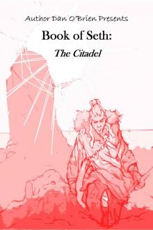 Book of Seth: The Citadel: A Fallen Chronicles Book