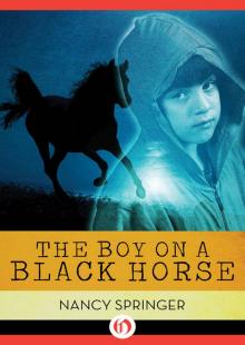 Boy on a Black Horse