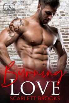 Burning Love (An Evans Mill Romance Book 3)