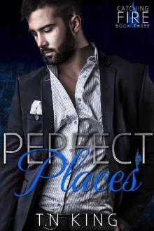 Catching Fire: Perfect Places (Billionaire Romance Series Book 3)