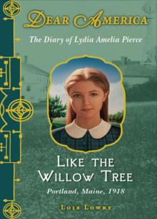 Dear America: Like the Willow Tree