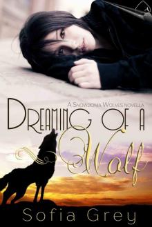 Dreaming of a Wolf (Snowdonia Wolves)