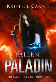 Fallen Paladin (The Paladin's Curse Book 2)