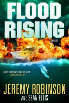 Flood Rising (A Jenna Flood Thriller)