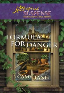 Formula for Danger (Love Inspired Suspense)