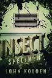 Insects: Specimen (The Insects Trilogy Book 3)