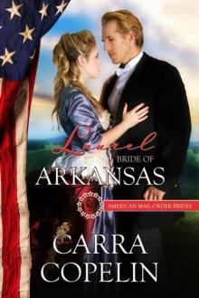 Laurel: Bride of Arkansas (American Mail-Order Bride 25)