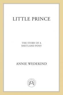 Little Prince - The Story of a Shetland Pony