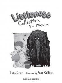 Littlenose Collection The Magician