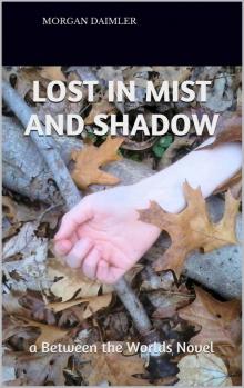 Lost in Mist and Shadow: A Between the Worlds Novel