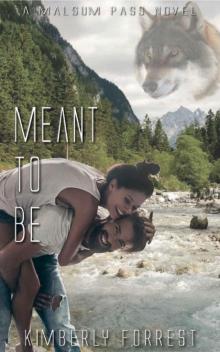 Meant To Be: A Malsum Pass Novel