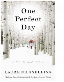 One Perfect Day