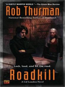 Roadkill: A Cal Leandros Novel (Cal and Niko)