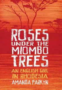 Roses Under the Miombo Trees