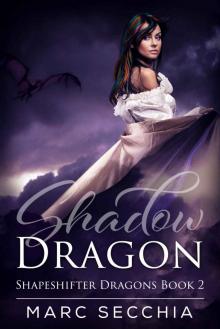 Shadow Dragon