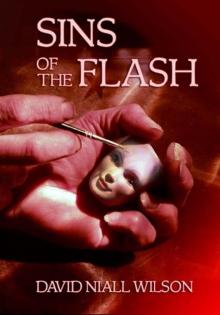 Sins of the Flash