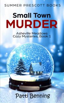 Small Town Murder (Asheville Meadows Cozy Mysteries Book 1)