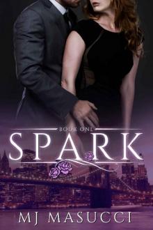 Spark: Book 1 (The Heat Series)