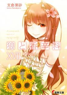 Spice & Wolf XVII (DWT)