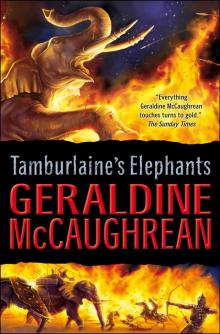 Tamburlaine's Elephants